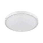 LED FABIO LED C 24W round plafond 24W 4000K 1680lm white IP44 Struhm