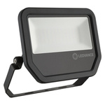 FLOODLIGHT LED floodlight 50W 3000K 5500lm IP65 black Ledvance