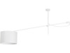 White \ Ceiling lamp