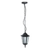 Black \ Pendant lamp \ None