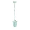 White \ Pendant lamp \ None