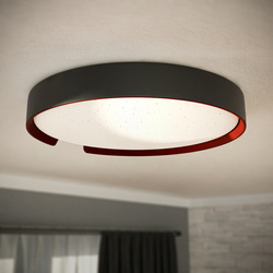 LED ESPERANTO LED C round plafond 24W warm/neutral/cold 2810lm black IP44 Struhm 04076